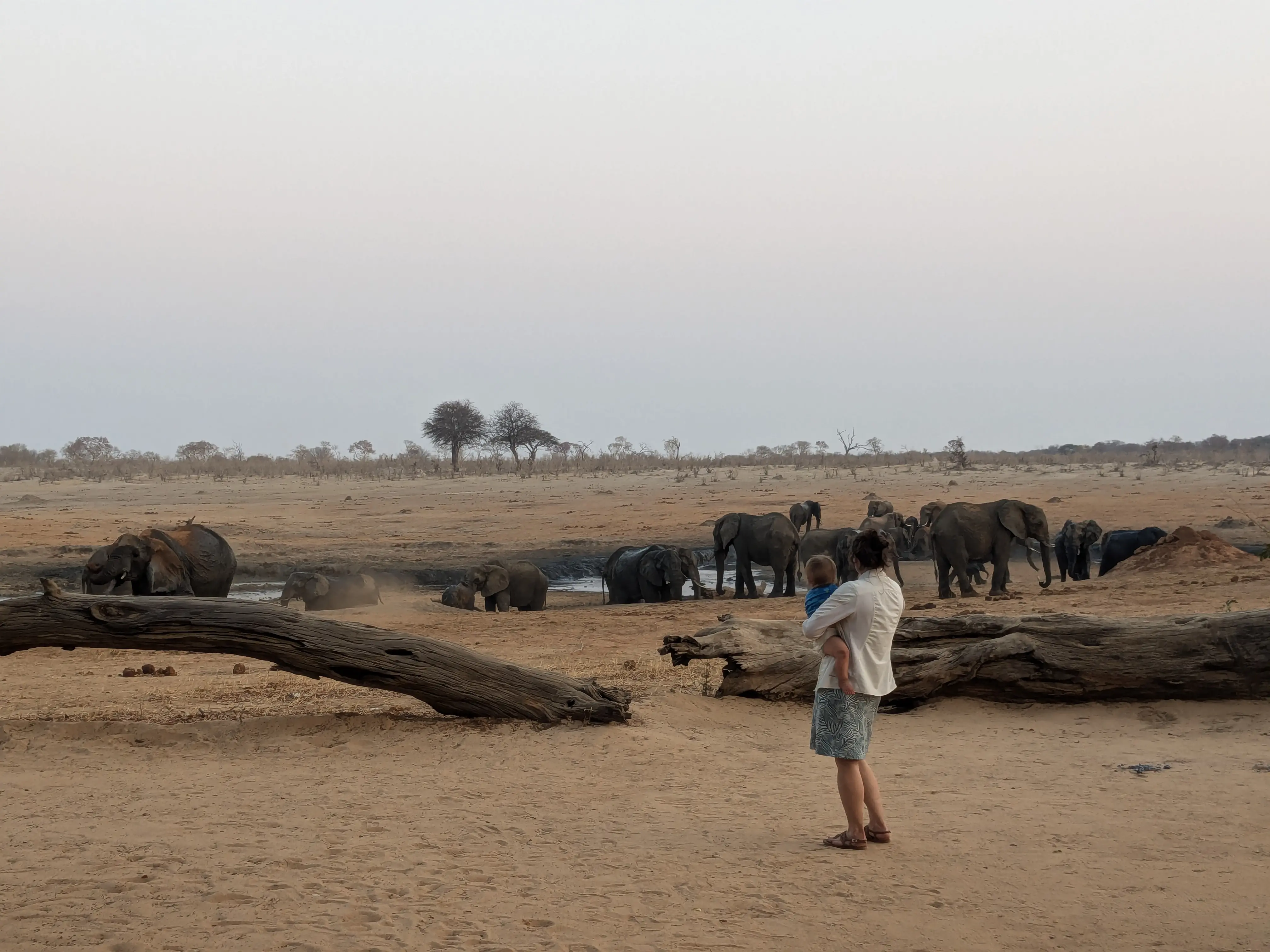 Laura and Sonja monitor the elephants from camp