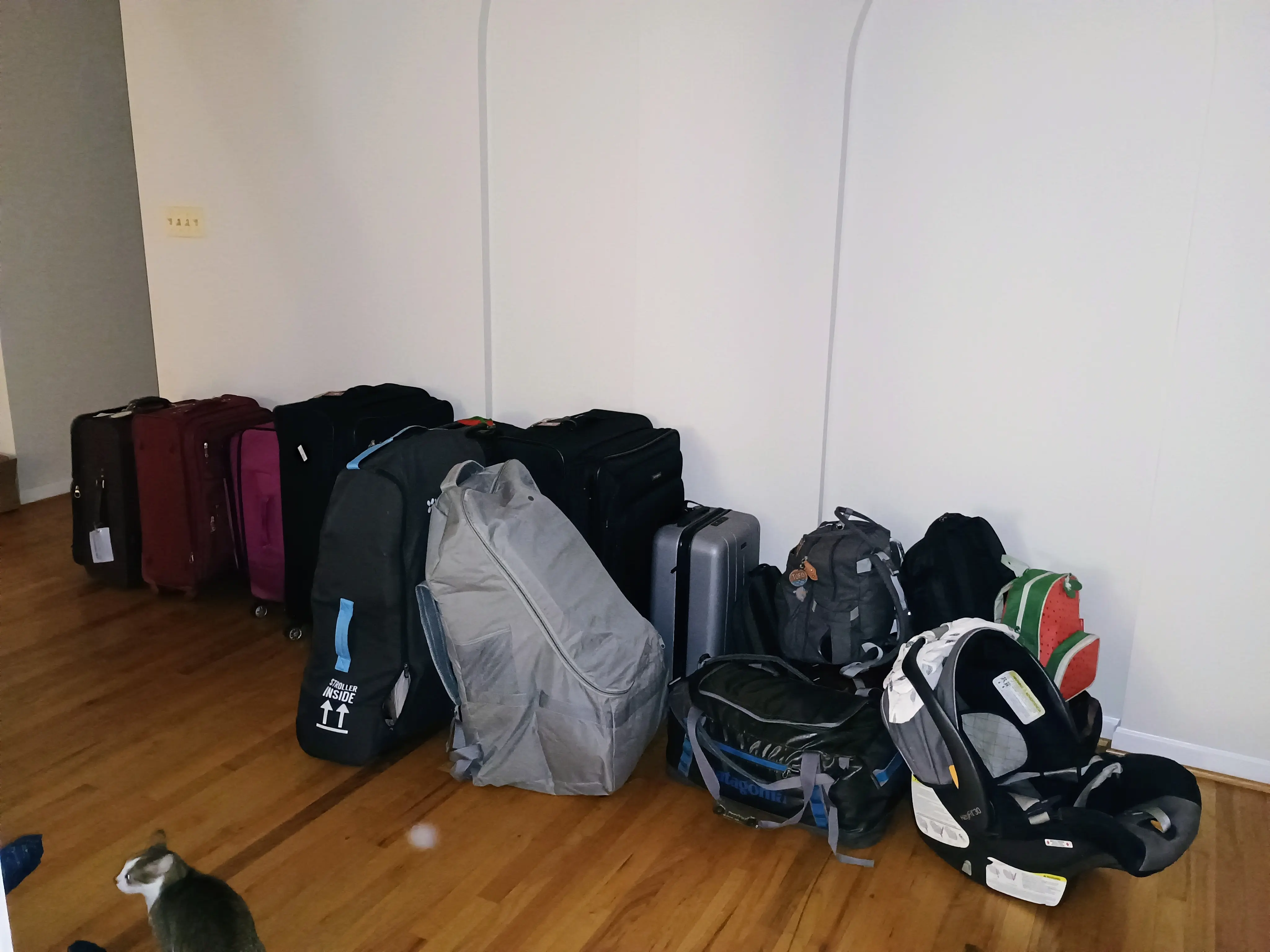 9 pieces of luggage, plus two cats!